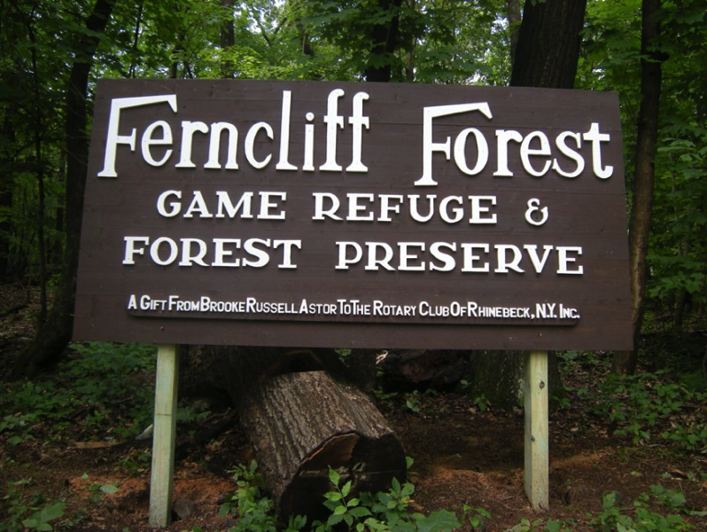 Rhinebeck Ferncliff Forest Game Refuge and Forest Preserve